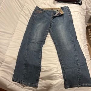 Lane Bryant Venezia 16 Embroidered Jeans